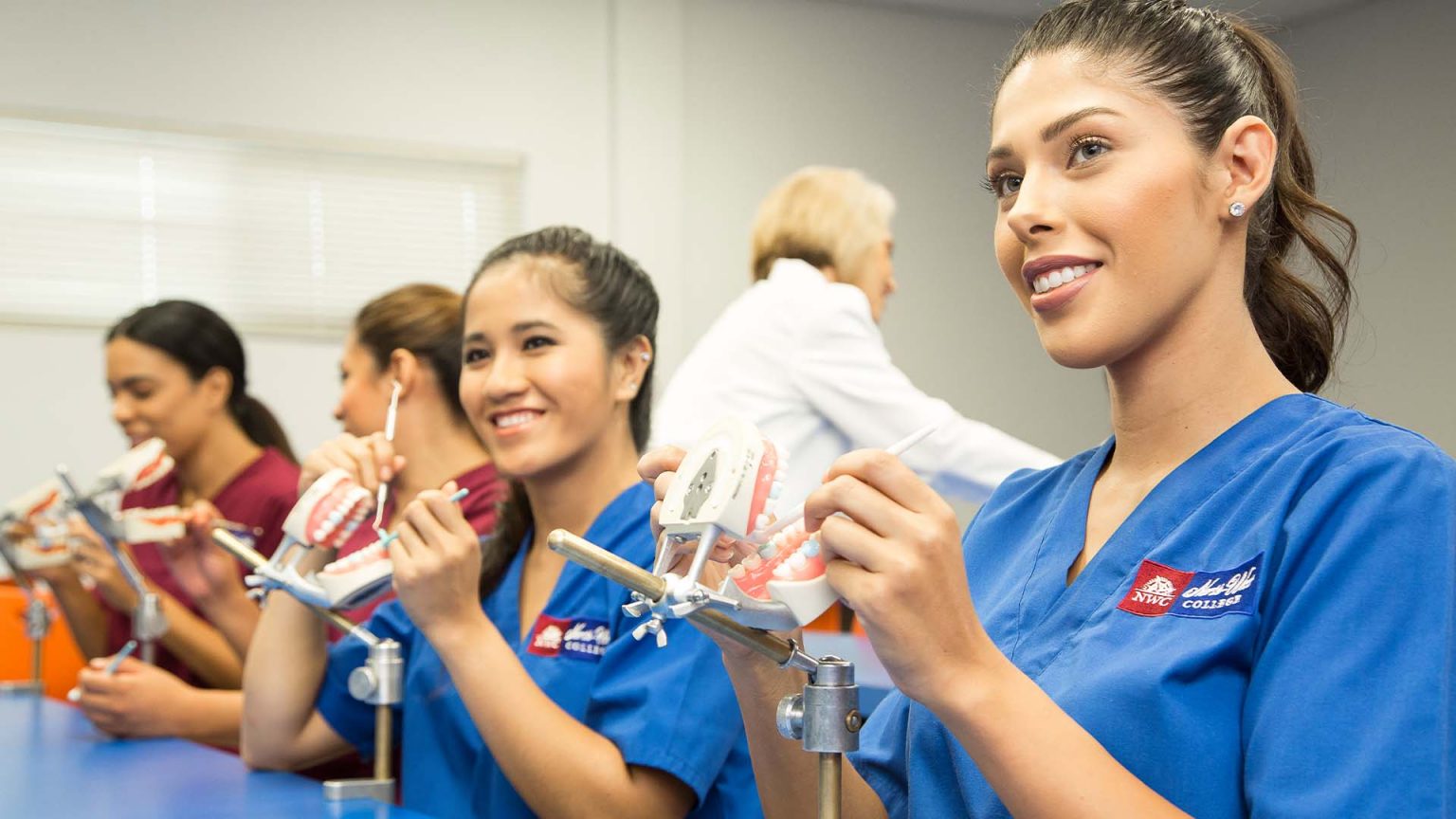Dental Assistant Training Courses, Classes, & Programs Online, School